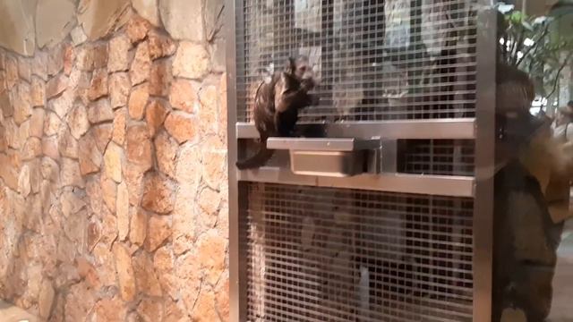 Ленинградский зоопарк _ Петропавловская крепость _ 02.05.21