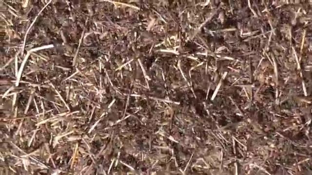 7d87a9c38ab24e528b4f410d58044bc7