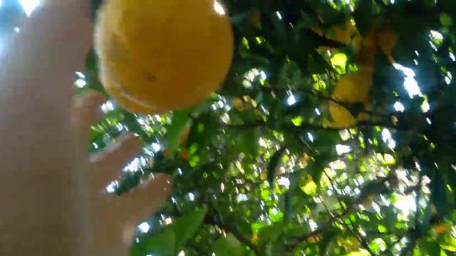 Строительные Перемены