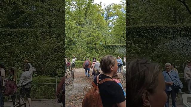 Фонтан-шутиха в Петергофе.