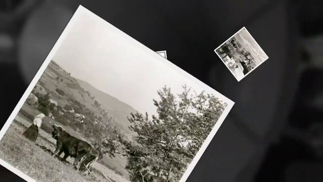 Lemko - Rusyn 78rpm Recordings, 1929. Columbia 27179-F.  Скрипка грає, бас гуде / Далівскый танец