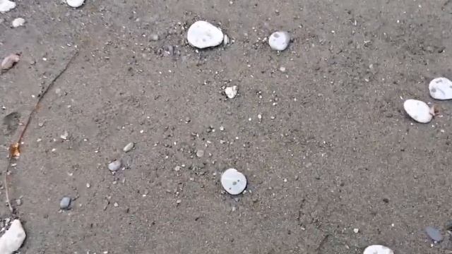 Железные деньги.