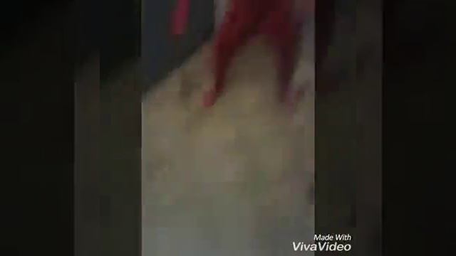 5a05dc9b0dddad061c75d2f34039bb7e