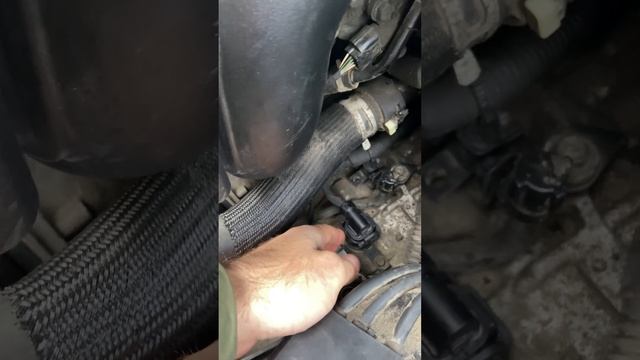 Дорожный странник