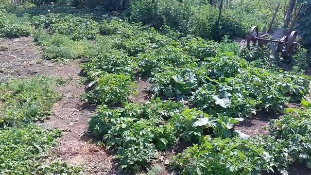 44c616e67e6e136768054ad169e75c2d