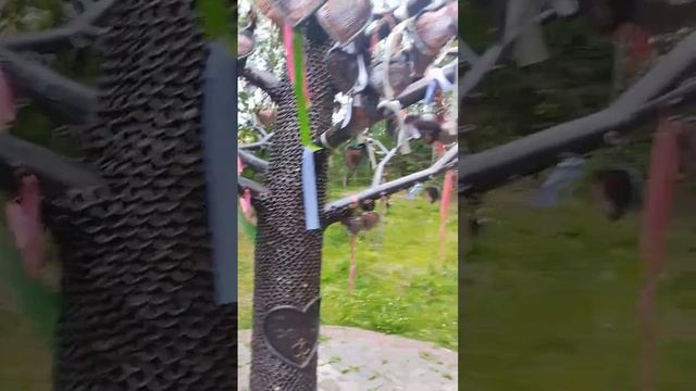 Я была здесь. СОСНОГОРСК. ПАРК ЮГЫД ЛУН