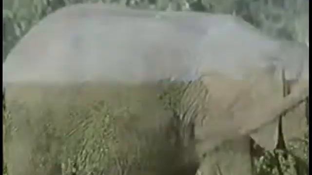 П 11 Гл 18. Описание варнашрама дхармы