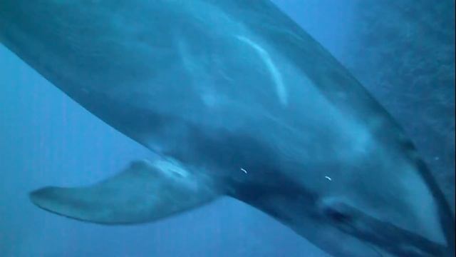 2148bf8f7b5c6176f00581044927c924