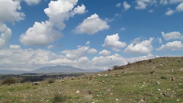 Радиоуправляемый самолет