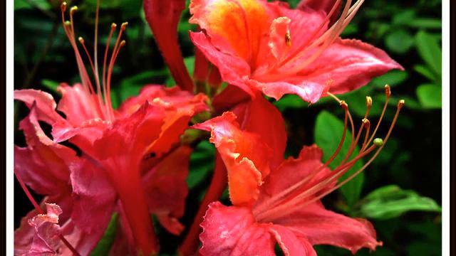 Топ очень новых новинок музыки про любовь смотреть