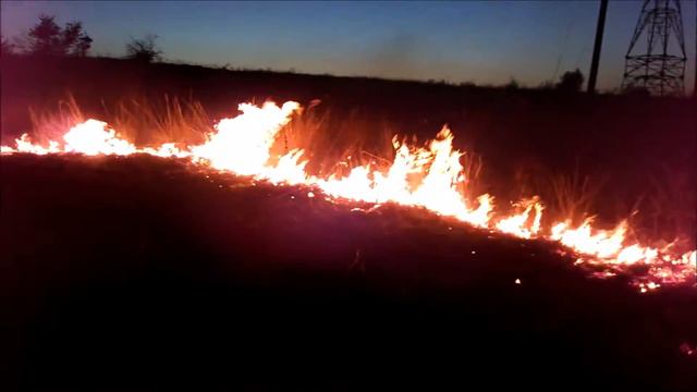 Пожар на Аляудах горит трава
