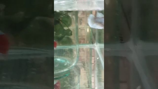 4ebfde0af425d5bc15098bac2435537b