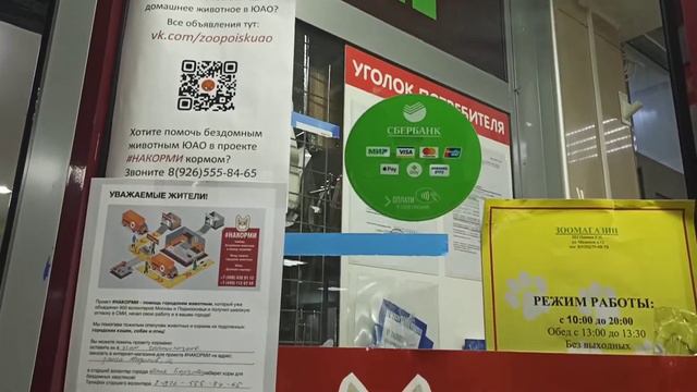 Проект #Накорми в Царицыно и Москворечье-Сабурово. Как помочь бездомным животным ЮАО