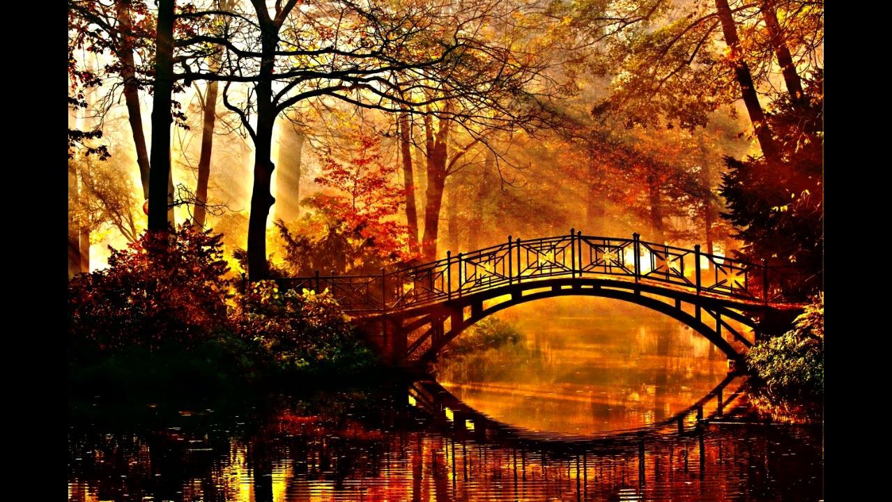 Crux - Navetta Forever