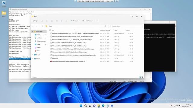 Microsoft Store Install