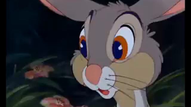 33cb514158648ba5c840ed2d06b6794d