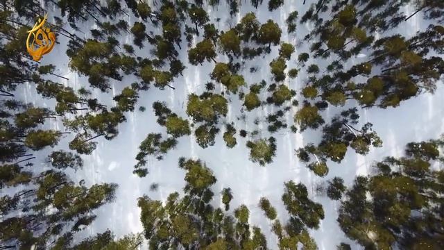 ТАХАДЖУД НАМАЗ  Шейх Мухаммад Мухтар аш-Шанкыти