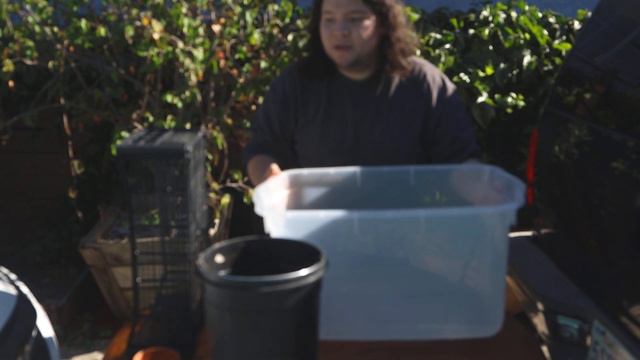 Ghetto Humidity Box | TeaTimeTuesday