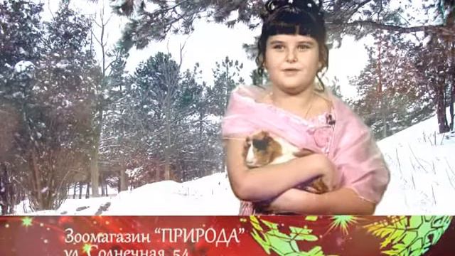 новогодние поздравления Природа
