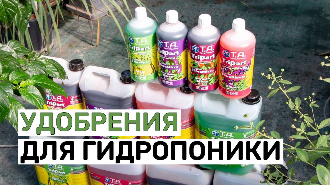 Удобрения для гидропоники