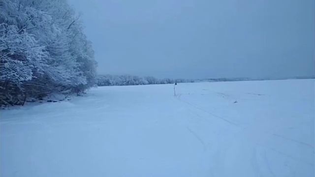 Ямаха Викинг 540