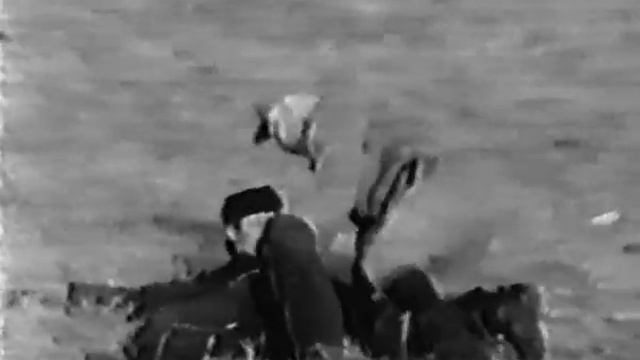 На полигоне