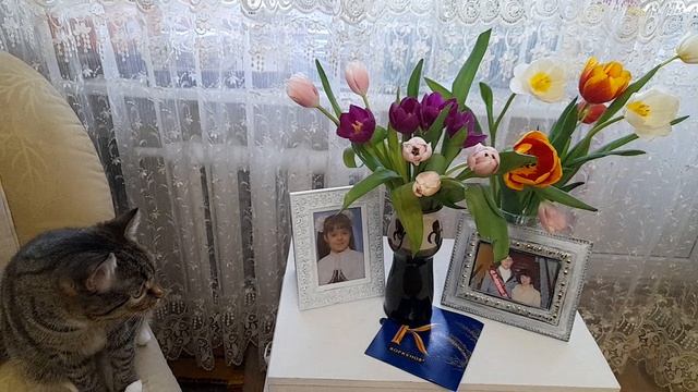 ХОЧУКУКЛУ_TOYS_TILZIT