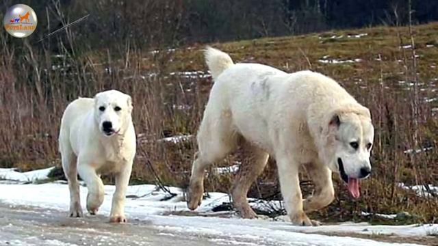 4304856fa4760b145694ebd8d955d6b0