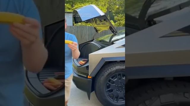 Шаолинь пернатый