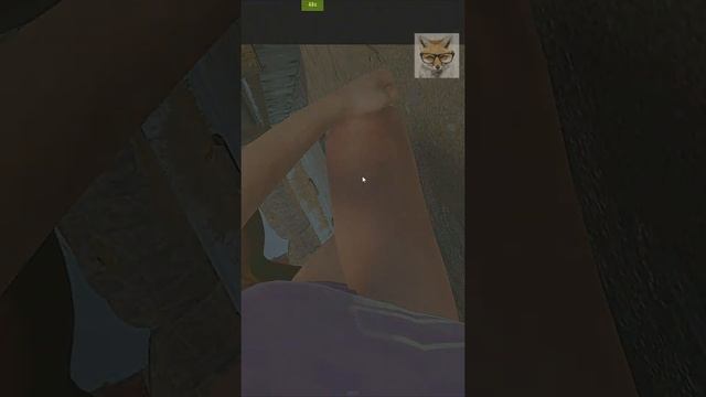 Баг с лошадью в Rust. Horse Bug In Rust. Кто не видел, не знает как передавать ресурсы через стенки