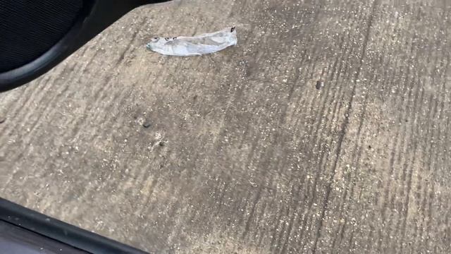 Идеальный дом