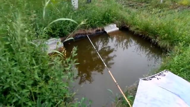 20170807 Женя на рыбалке во время дождя The Boy Is Fishing In The Rain