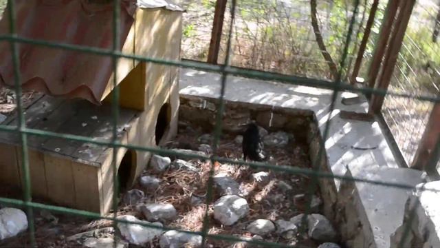 934b449283fb6409048a98cf56ff6ef7