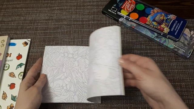 ПОКУПКИ/НОВИНКИ/РАСКРАСКИ АНТИСТРЕСС/РАСКРАСКИ ДЛЯ ВЗРОСЛЫХ/ОБЗОР/КАНЦЕЛЯРИЯ/РУБРИКА #ЧЕКУПИЛА