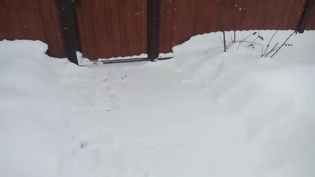 Снежная сказка. Все замело снегом. Снег идёт четвертые сутки. Ставрополье в снежном плену!