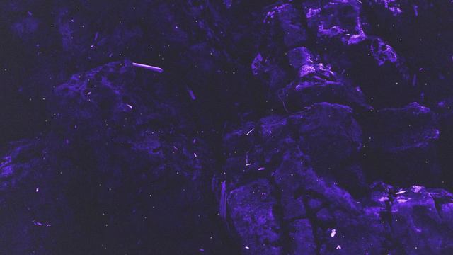 [1 HOUR] Phonk Killer - Trunk (Lyrics)  Bubble Bath And Get My 44 Up Off The Dresser