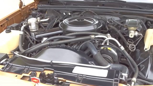 1985 Chevrolet El Camino, Gateway Classic Cars Nashville, 1565NSH