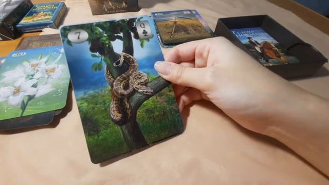 Какие карты в ЛЕНОРМАН ЕЩЁ показывают людей, личностей, персоны.