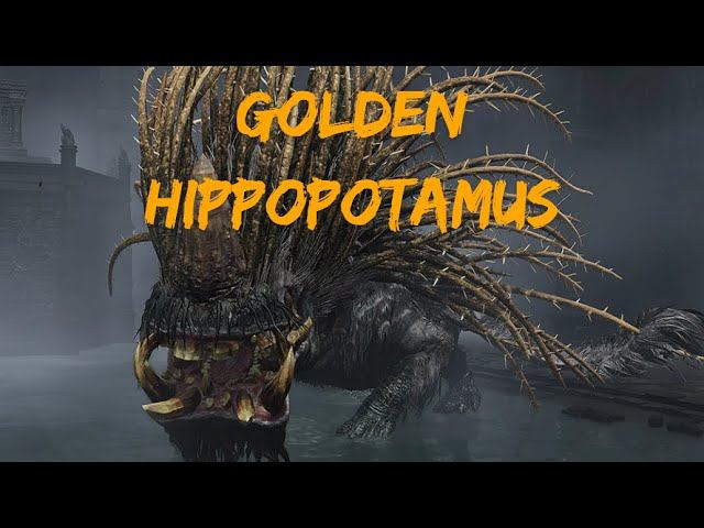 Золотой гиппопотам |  Golden Hippopotamus