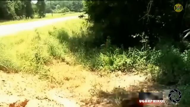 нарезка приколы