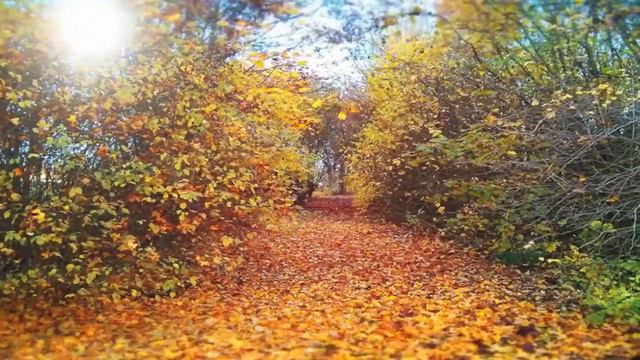 Tatreal «Autumn» . Музыка осени.  Калейдоскоп