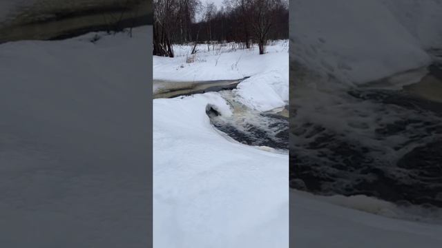 Первый раз услышала песню и влюбилась в неё с первого прослушивания. Юрий Визбор. 1974 год.