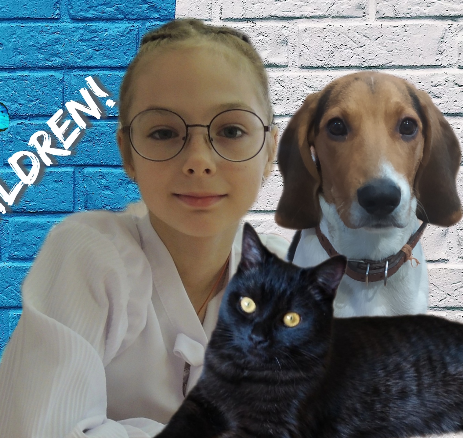 Морозным днём!