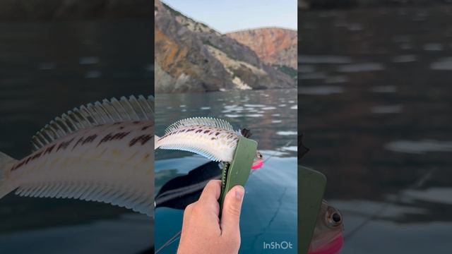 Рыбалка с надувного каяка в Севастополе.