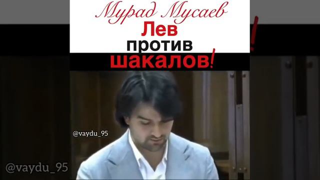 Мурад Мусаев. Адвокат Юсупа