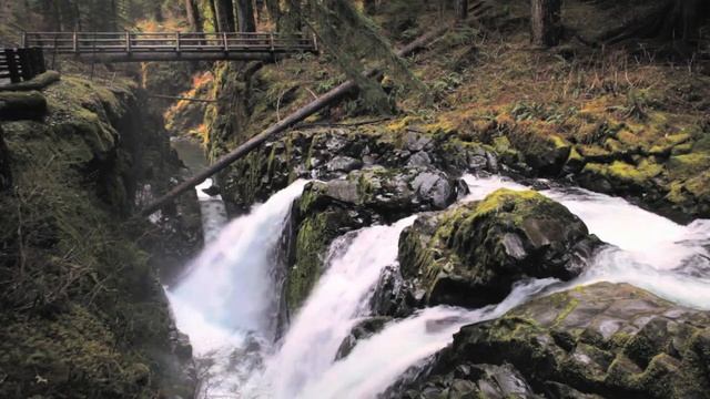 Звуки осенней реки/Расслабляющее видео природы/Отдых/Autumn River Sounds/Relaxing Nature Video/Rela