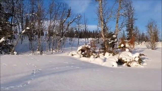 Arctic Cat ZR 200 Sunshine Edit