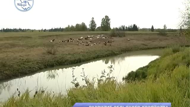 РАЗВИТИЕ СЕЛЬСКОГО ХОЗЯЙСТВА