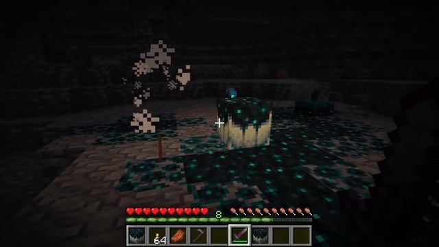 D53606532b00807ccd674441483a30e5