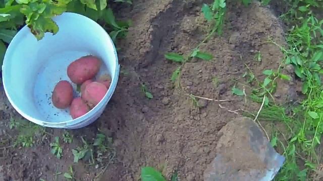 04ca8e8244758c80bd449436dfe4d701